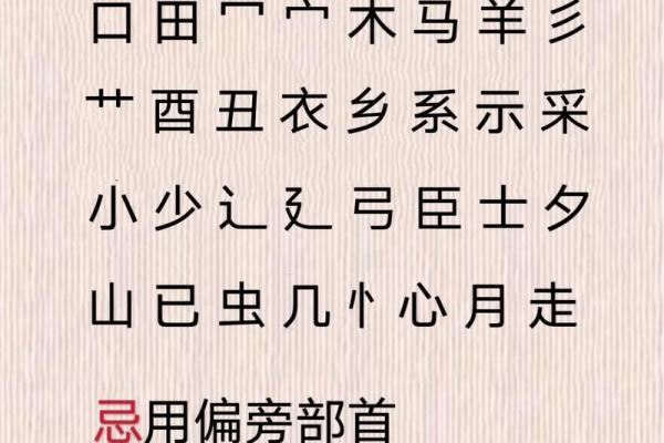 生辰八字取名测算