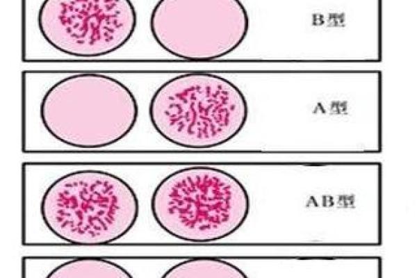从工作态度判断他的血型