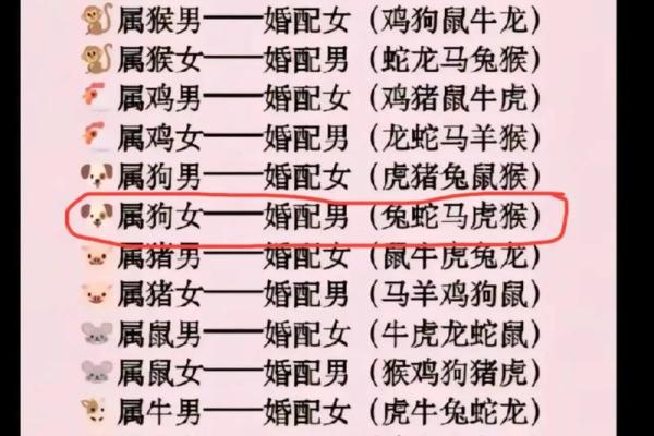 属狗天蝎男和猪女水瓶座配对吗