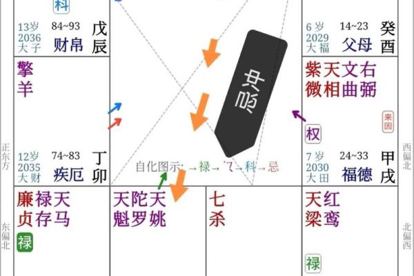 紫薇斗数看流年事业运势