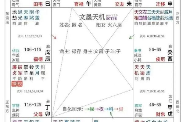 怎么解紫薇斗数