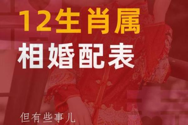 生肖配对查询男女