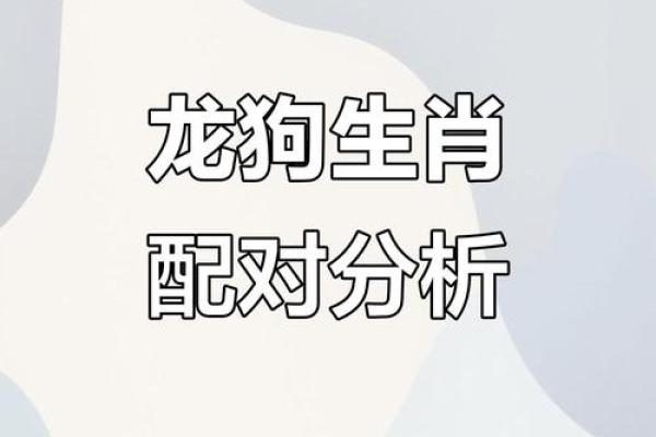 生肖配对：属狗的和什么属相最配