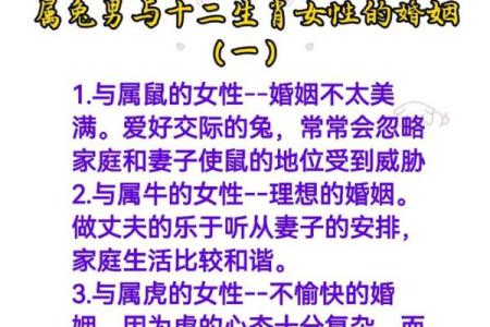 生肖配对属龙属兔的婚姻怎么样