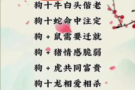 属狗男今年结婚吉日 属狗男今年结婚吉日有哪些？