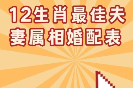 属相婚配十二生肖配对图表，属相婚配十二生肖配对图表图片？