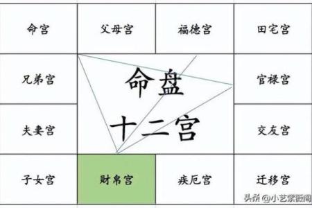 紫微斗数命盘实例解析-12