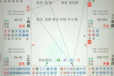 紫薇斗数文曲属性