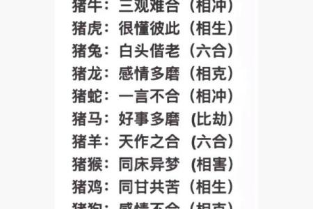 猪的生肖配对