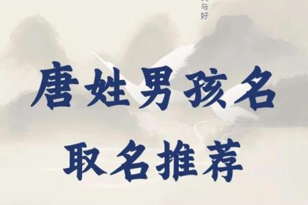唐姓名配对搞笑名字 姓唐的谐音网名？