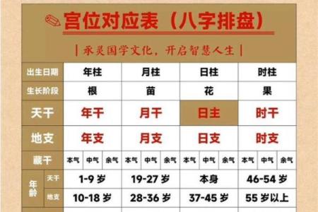 辰时八字