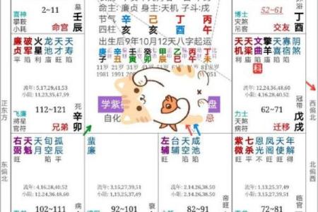 紫薇斗数看癌症
