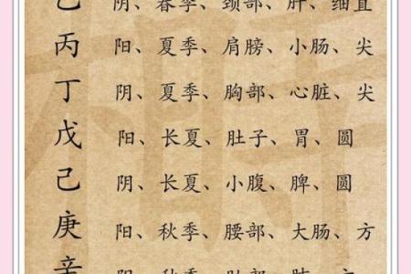 五形对应方位春夏秋冬四季剖析