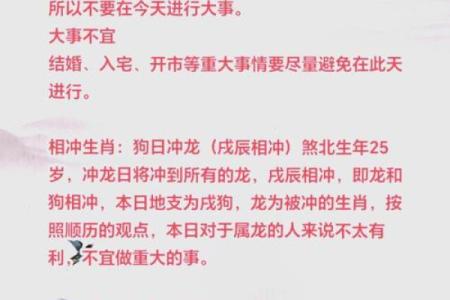 属龙的跟属龙的结婚属上等婚吗 配对要注意什么