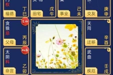 紫薇斗数通天