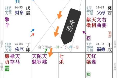 1986年紫薇斗数