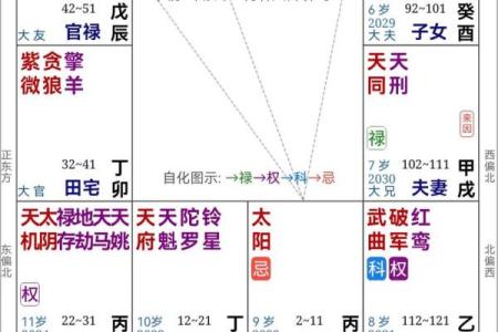 紫薇斗数看相应