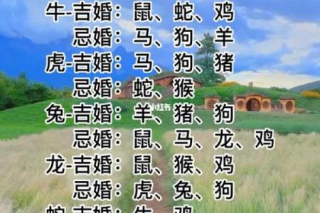 1969年属什么生肖属于什么命 1969年属什么生肖配对最好婚姻