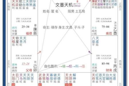 最准紫薇斗数app