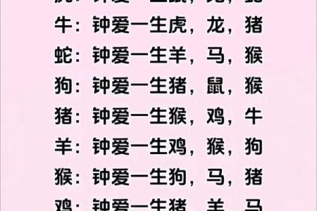 生肖配对真迹：十二生肖最佳配对大揭秘！
