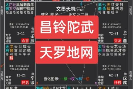 紫微斗数之诸星值限年运气推断：昌曲星之年