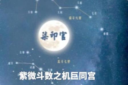 紫薇斗数里的巨门星啥意思