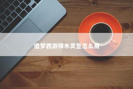 造梦西游樟木灵签怎么用