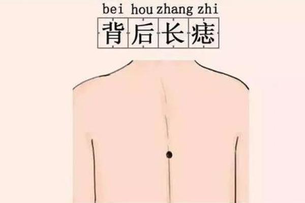 背上的痣图解算命
