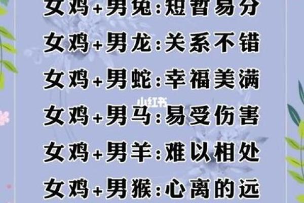十二生肖鸡的最佳配对 鸡最佳配对是哪几个生肖
