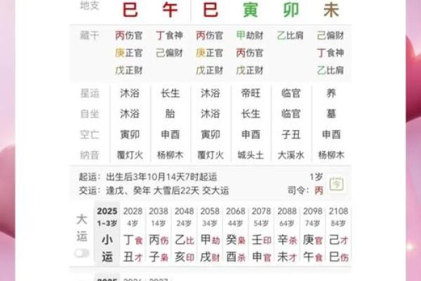 八字排盘详解