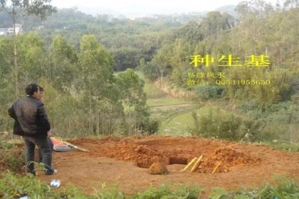 种生基之吉日法则 不同诉求吉日不同 天赦日百无禁忌