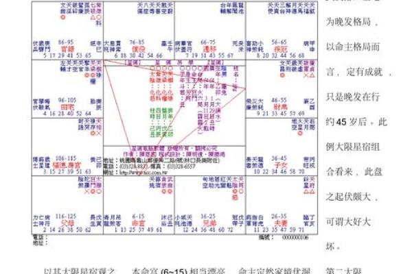 紫薇斗数术数