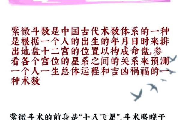 紫薇斗数术数