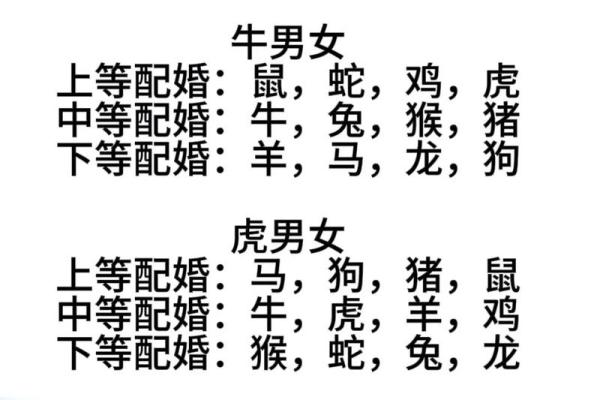91年属什么生肖配对结婚 91年属什么动物