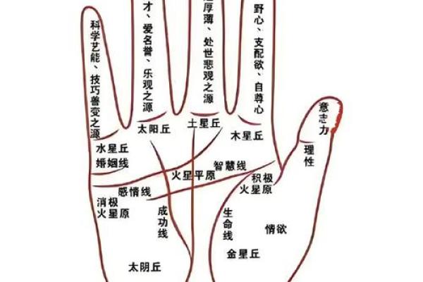 什么是“烦恼线”，手相烦恼线算命图解