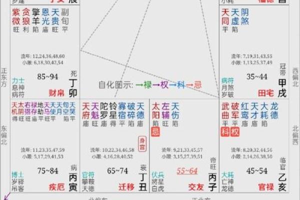 斗数紫薇阁