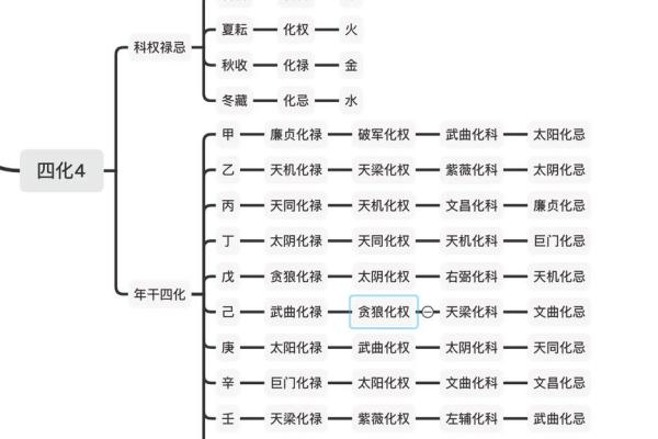 紫薇斗数里忌代表什么