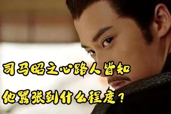 风水大师视频_那司马昭到底有多嚣张
