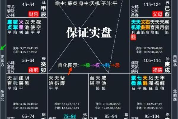 紫微斗数诸星落诸宫之：紫微星官禄宫详解