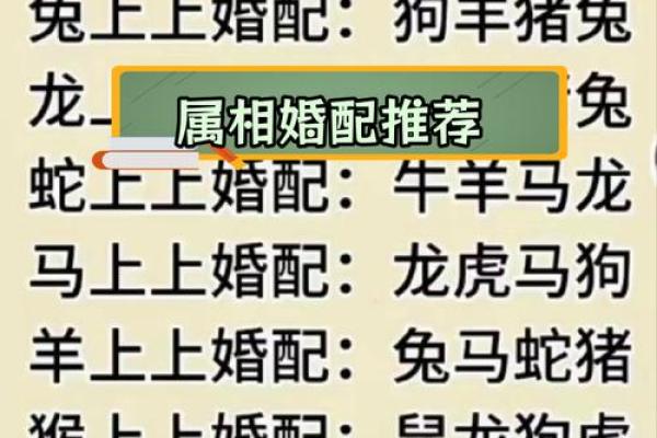 属牛女的婚姻配对更佳属相