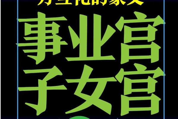 娶双妻紫薇斗数