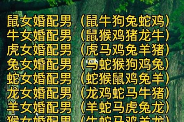 十二生肖的最佳婚姻配对