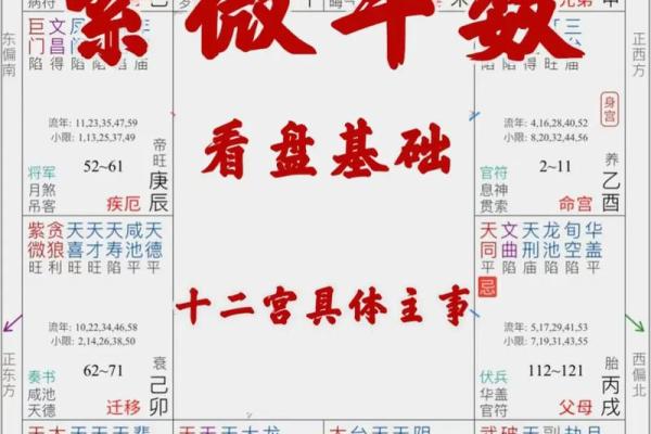 紫薇斗数飞星排盘
