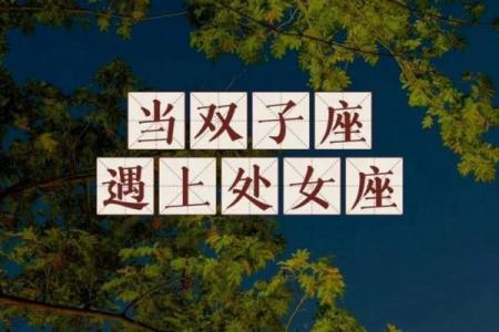 双子座和处女座婚姻配对吗