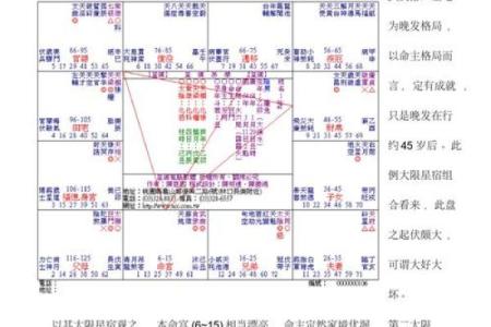 紫薇斗数术数