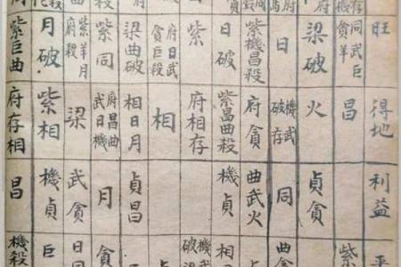 五星派紫薇斗数