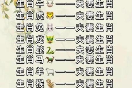 狗的属相配对婚配表