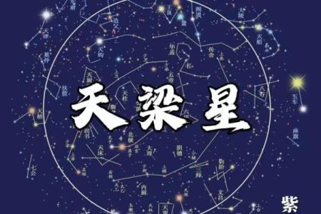 天贵星紫薇斗数