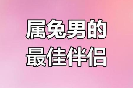 71年属猪和75年属兔相配吗 互补默契配对理想