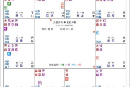 紫薇斗数看运势